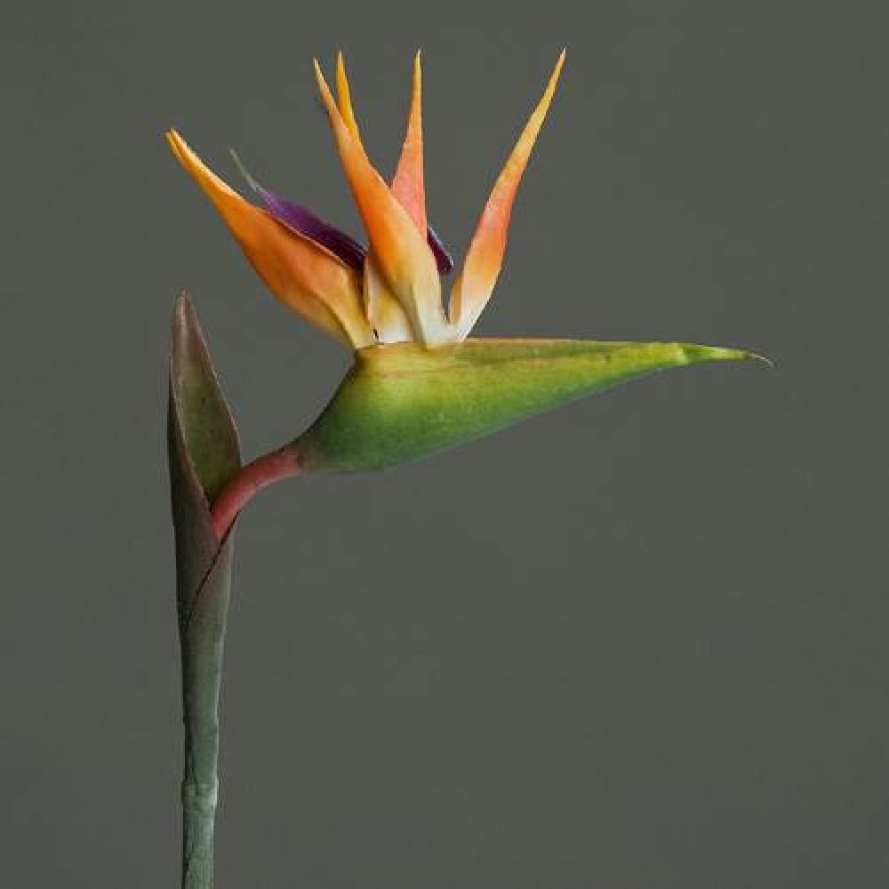 Artificial Birds of Paradise Medium 83cm Artificial Flowers